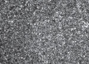 Figure 2　 Metallographic Structure of Solid Carbide Close Grit Cutter