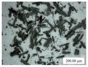 Figure 5. CFRP milling chip morphology